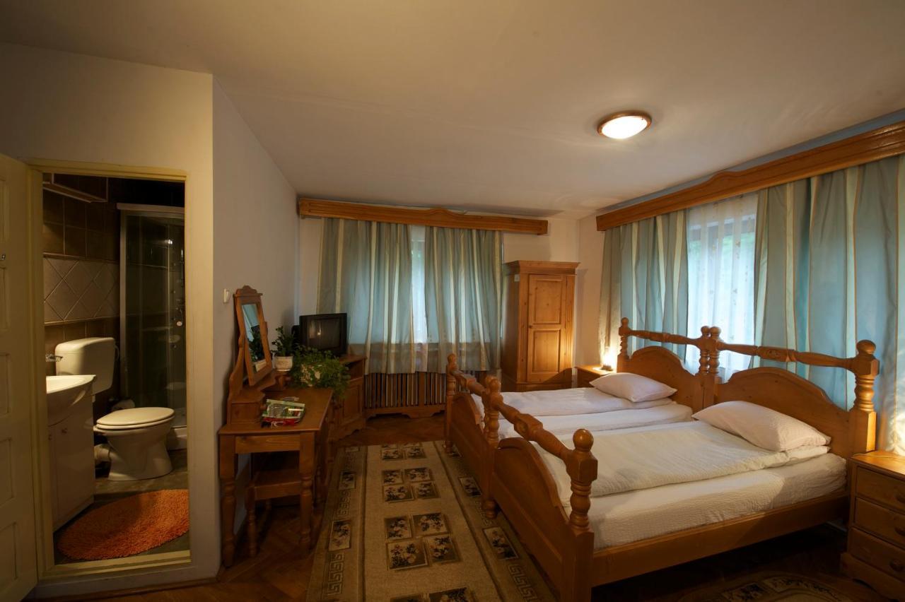 Pensiunea Aurora Albac Exterior foto